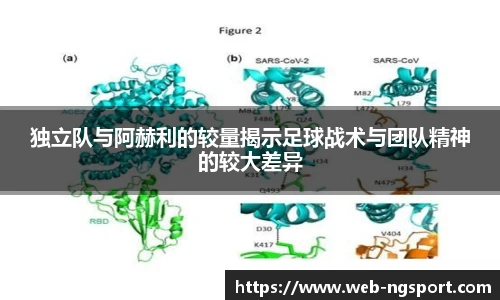 NG体育娱乐