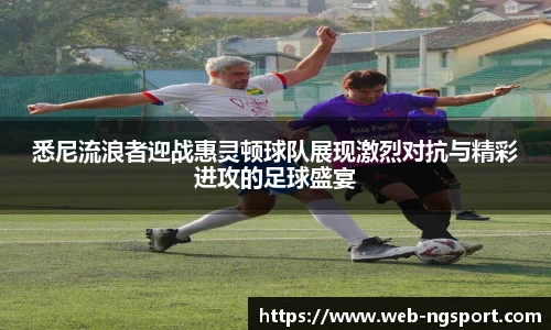 NG体育娱乐